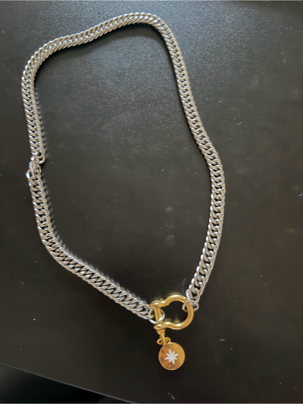 Horseshoe Shackle Stainless Steel Chain Necklace